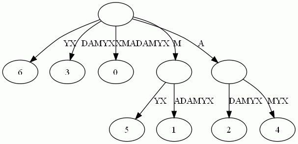 后缀树 - 图2