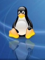 Linux 面试题