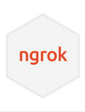 ngrok 中文文档