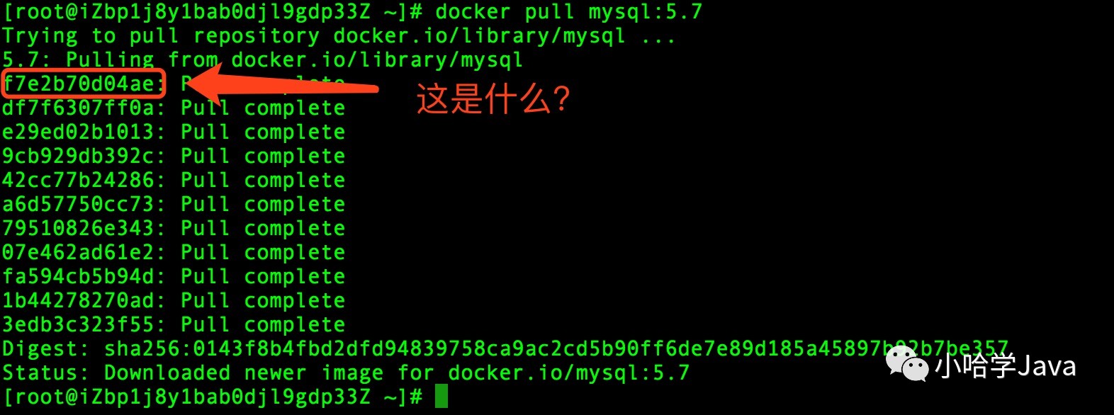 Docker 镜像下载